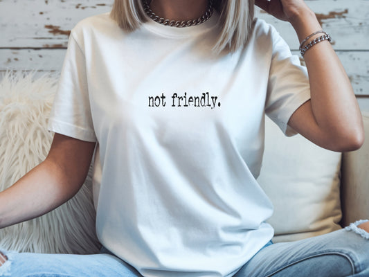 The "Not Friendly" Era Tee & Sweatshirt
