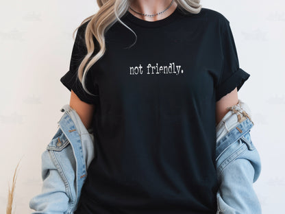 The "Not Friendly" Era Tee & Sweatshirt