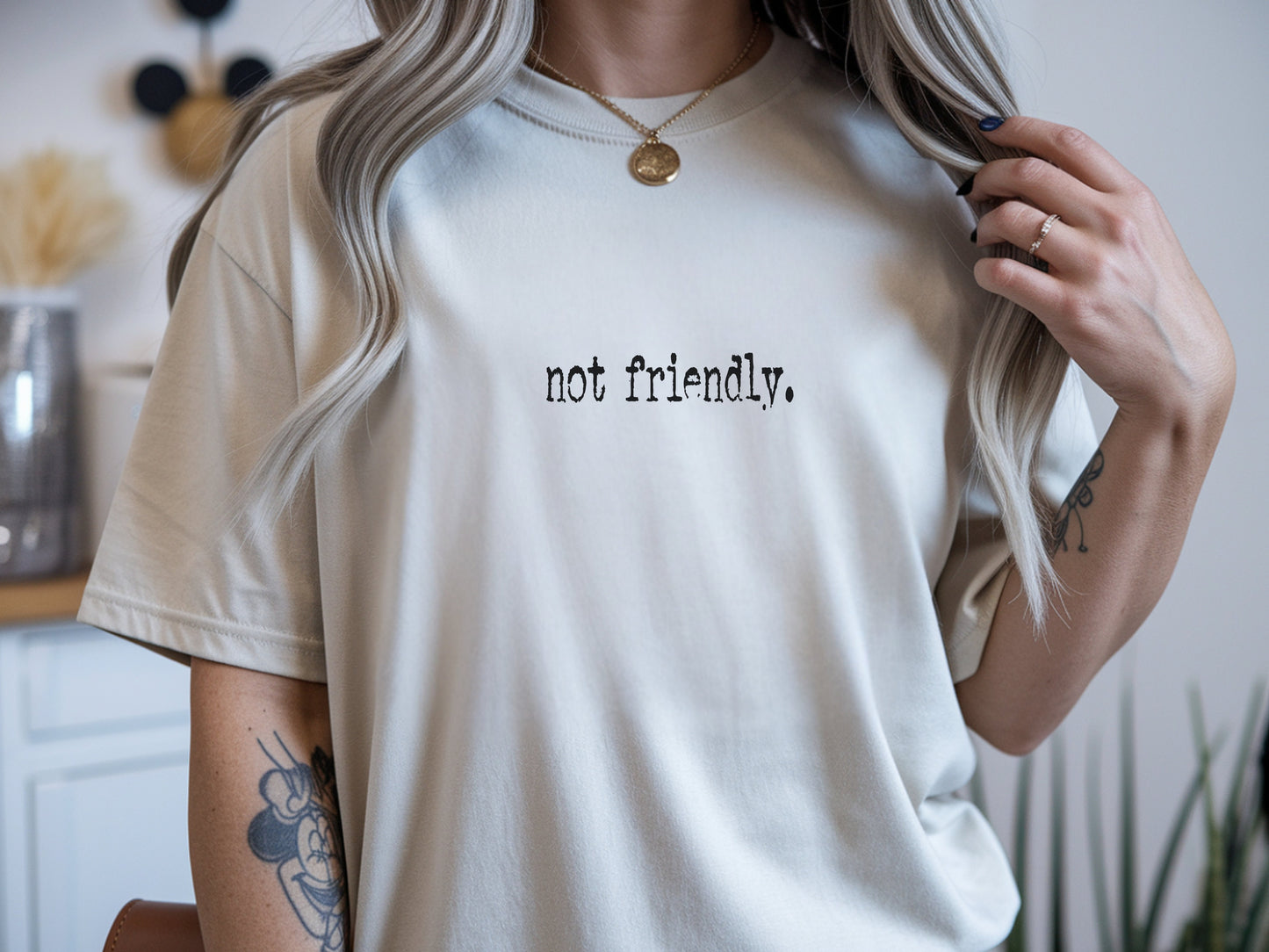 The "Not Friendly" Era Tee & Sweatshirt