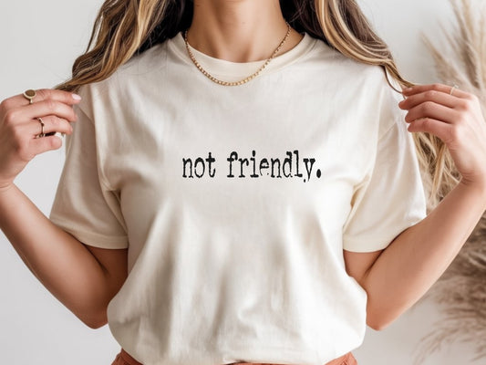 The "Not Friendly" Era Tee & Sweatshirt