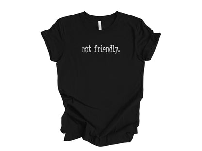 The "Not Friendly" Era Tee & Sweatshirt