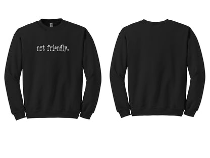 The "Not Friendly" Era Tee & Sweatshirt