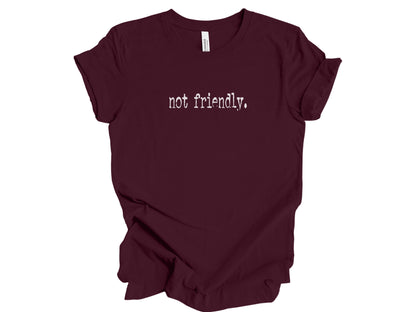 The "Not Friendly" Era Tee & Sweatshirt
