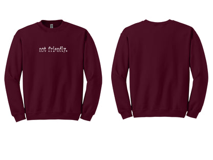 The "Not Friendly" Era Tee & Sweatshirt