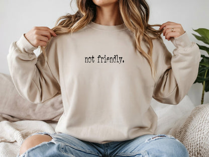 The "Not Friendly" Era Tee & Sweatshirt
