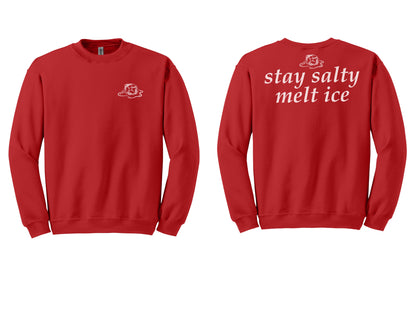 The "Stay Salty" Era Tee & Crewneck