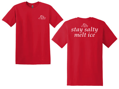 The "Stay Salty" Era Tee & Crewneck