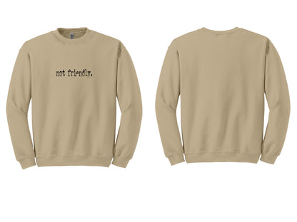 The "Not Friendly" Era Tee & Sweatshirt