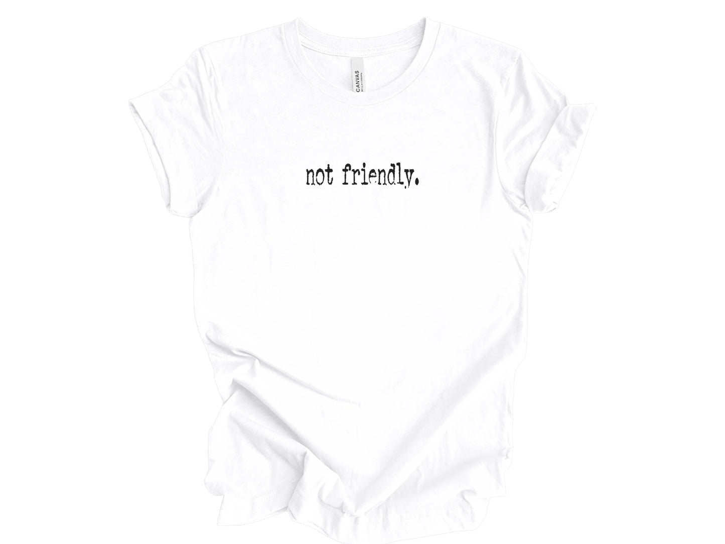 The "Not Friendly" Era Tee & Sweatshirt