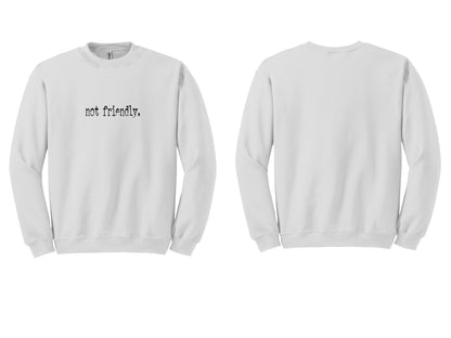 The "Not Friendly" Era Tee & Sweatshirt