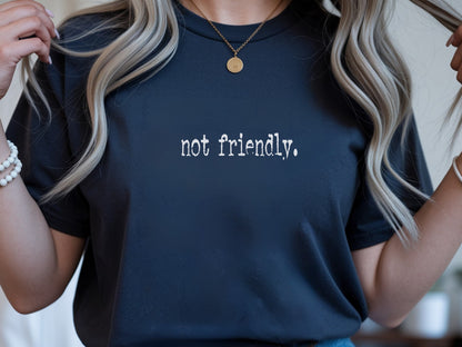 The "Not Friendly" Era Tee & Sweatshirt