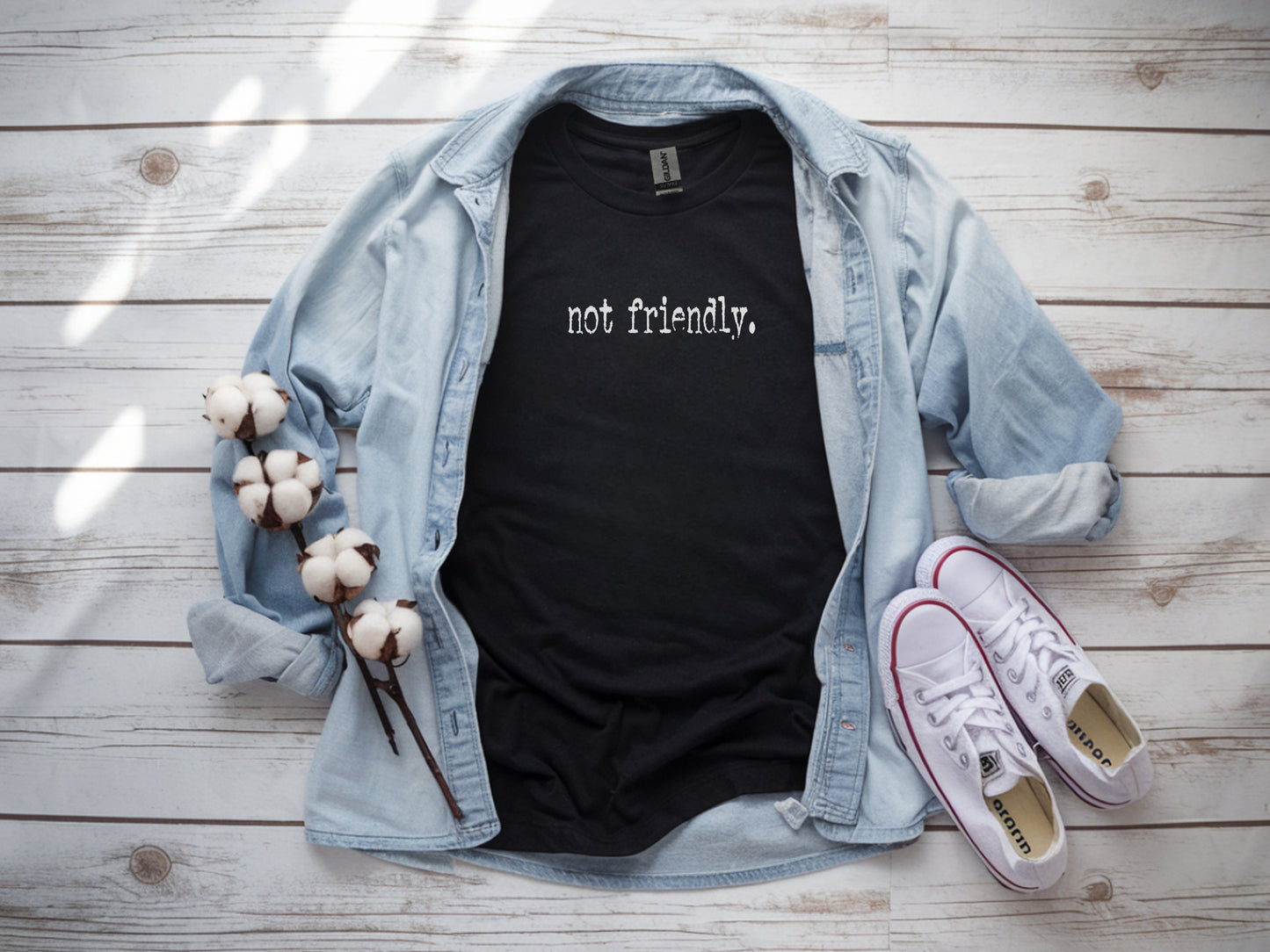 The "Not Friendly" Era Tee & Sweatshirt