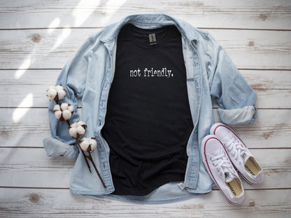 The "Not Friendly" Era Tee & Sweatshirt