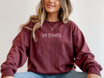 The "Not Friendly" Era Tee & Sweatshirt
